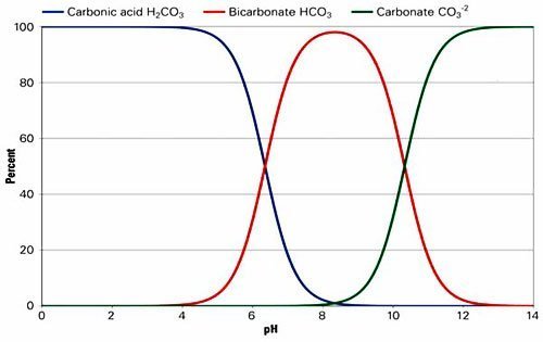Phương pháp tăng độ kiềm trong ao nuôi