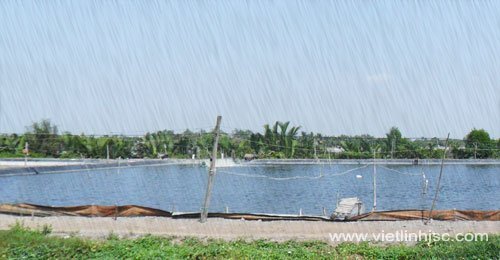 Độ cứng của nước