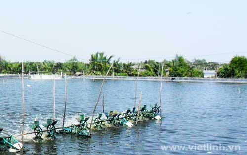 Các phương pháp sinh học xử lý ô nhiễm môi trường do nuôi trồng thuỷ sản ven biển