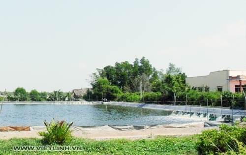 Nhiệt độ của nước