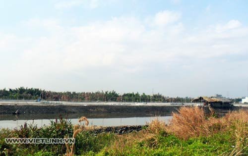 Tảo gây hại trong ao nuôi thủy sản