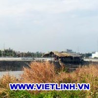 Phương pháp gây màu nước trong ao nuôi tôm theo VietGAP