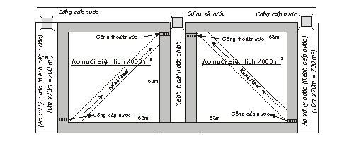 Khởi nghiệp nuôi tôm: Sơ thảo luận chứng kinh tế – kĩ thuật cho dự án nuôi tôm sú công nghiệp trên diện tích 1 ha