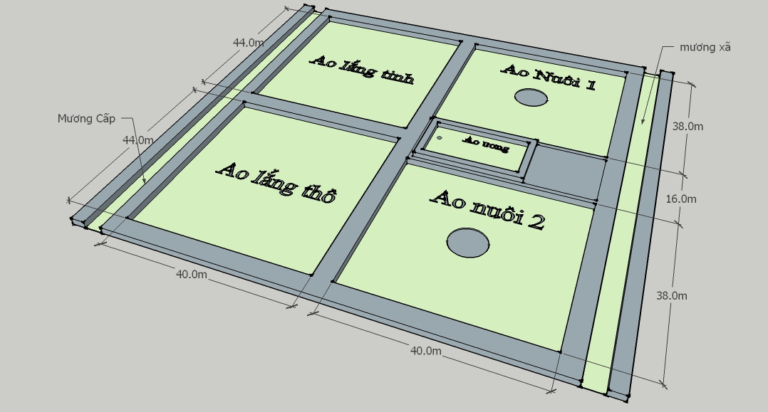 Quy trình nuôi tôm thẻ chân trắng siêu thâm canh 02 giai đoạn ít thay nước theo công nghệ Trúc Anh – Phần 1