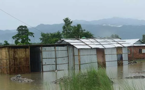 Biện pháp kỹ thuật phòng tránh và ứng phó với mưa bão trong chăn nuôi