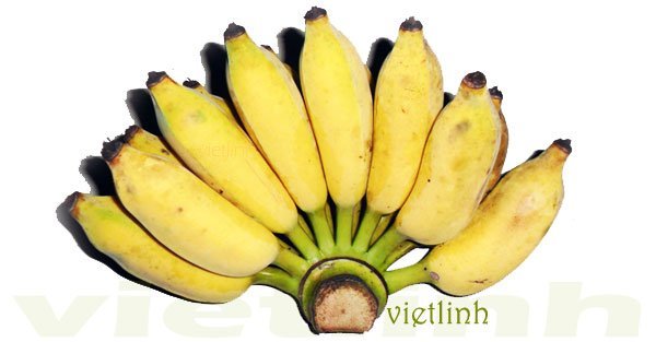 Kỹ thuật chế biến chuối