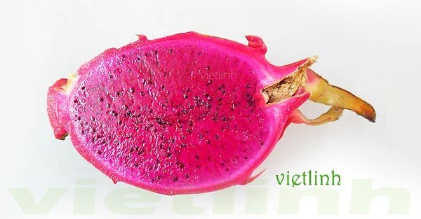 Kỹ thuật sử dụng chất hút ẩm trong bảo quản rau quả sấy khô