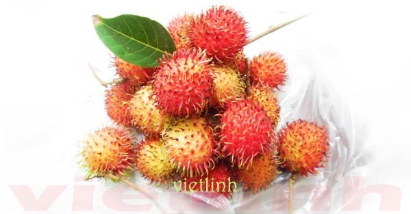 Sử dụng dung dịch sát khuẩn anolyte để bảo quản trái cây